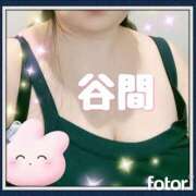 ヒメ日記 2025/04/28 15:47 投稿 まいこ 柏人妻花壇