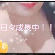 ヒメ日記 2025/05/19 12:52 投稿 まいこ 柏人妻花壇