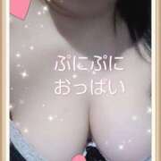 ヒメ日記 2025/05/26 10:30 投稿 まいこ 柏人妻花壇