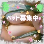 ヒメ日記 2025/05/28 16:30 投稿 まいこ 柏人妻花壇