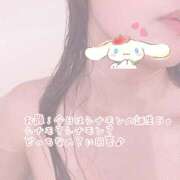 ヒメ日記 2025/03/06 20:00 投稿 さき 柏人妻花壇