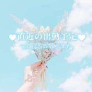 ヒメ日記 2025/06/18 09:16 投稿 さき 柏人妻花壇