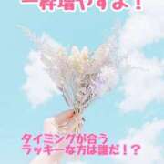 ヒメ日記 2025/10/03 11:03 投稿 さき 柏人妻花壇