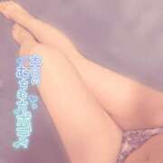 ヒメ日記 2025/12/16 10:45 投稿 さき 柏人妻花壇