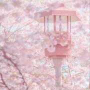 ヒメ日記 2026/04/26 10:02 投稿 さき 柏人妻花壇