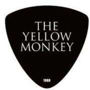 ヒメ日記 2025/02/15 10:38 投稿 ゆな 柏人妻花壇