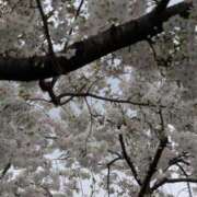 ヒメ日記 2025/03/30 00:00 投稿 ゆな 柏人妻花壇