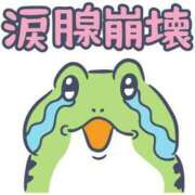 ヒメ日記 2025/04/21 01:16 投稿 ゆな 柏人妻花壇