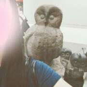 ヒメ日記 2025/08/10 11:41 投稿 ゆな 柏人妻花壇