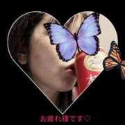 ヒメ日記 2025/09/01 23:11 投稿 ゆな 柏人妻花壇