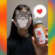 ヒメ日記 2025/09/11 19:57 投稿 ゆな 柏人妻花壇