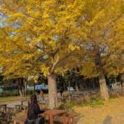 ヒメ日記 2025/11/21 07:17 投稿 ゆな 柏人妻花壇