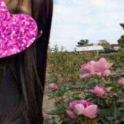 ヒメ日記 2025/11/29 00:01 投稿 ゆな 柏人妻花壇