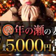 ヒメ日記 2025/12/12 00:00 投稿 ゆな 柏人妻花壇