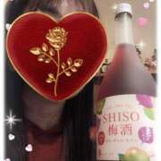 ヒメ日記 2026/02/28 09:00 投稿 ゆな 柏人妻花壇