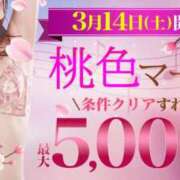 ヒメ日記 2026/03/03 18:31 投稿 ゆな 柏人妻花壇