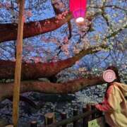 ヒメ日記 2026/03/30 00:01 投稿 ゆな 柏人妻花壇