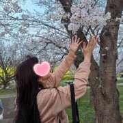 ヒメ日記 2026/03/30 09:00 投稿 ゆな 柏人妻花壇