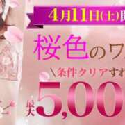 ヒメ日記 2026/03/31 00:01 投稿 ゆな 柏人妻花壇