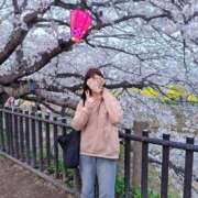 ヒメ日記 2026/04/02 08:01 投稿 ゆな 柏人妻花壇