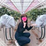 ヒメ日記 2026/04/02 14:07 投稿 ゆな 柏人妻花壇