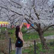 ヒメ日記 2026/04/05 00:00 投稿 ゆな 柏人妻花壇