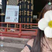 ヒメ日記 2026/04/12 09:00 投稿 ゆな 柏人妻花壇