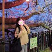 ヒメ日記 2026/04/12 12:03 投稿 ゆな 柏人妻花壇