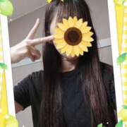 ヒメ日記 2026/07/13 12:03 投稿 ゆな 柏人妻花壇