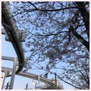 ヒメ日記 2026/03/30 09:34 投稿 まみ 柏人妻花壇