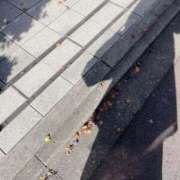 ヒメ日記 2024/12/18 16:17 投稿 ひびき 柏人妻花壇