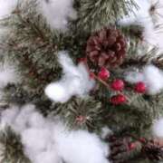 ヒメ日記 2025/12/09 08:40 投稿 ひびき 柏人妻花壇