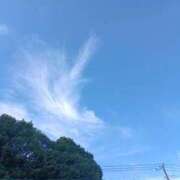 ヒメ日記 2026/03/21 07:31 投稿 ひびき 柏人妻花壇