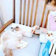 ヒメ日記 2026/07/09 08:58 投稿 ひびき 柏人妻花壇