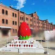 ヒメ日記 2026/03/09 10:09 投稿 莉乃-りの【FG系列】 ほんとうの人妻 厚木店【FG系列】