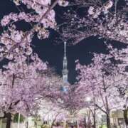 ヒメ日記 2026/03/26 10:15 投稿 莉乃-りの【FG系列】 ほんとうの人妻 厚木店【FG系列】