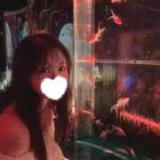 ヒメ日記 2025/10/20 13:46 投稿 スモモ ロボットデリヘル