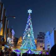 ヒメ日記 2024/12/22 09:58 投稿 かなめ 奥鉄オクテツ大阪