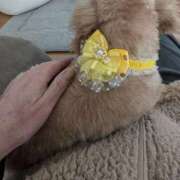 ヒメ日記 2025/01/07 13:18 投稿 かなめ 奥鉄オクテツ大阪