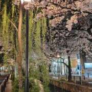 ヒメ日記 2025/03/18 16:58 投稿 かなめ 奥鉄オクテツ大阪