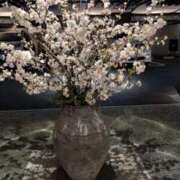 ヒメ日記 2025/03/28 00:04 投稿 かなめ 奥鉄オクテツ大阪