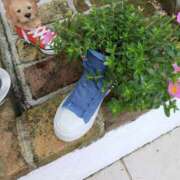 ヒメ日記 2025/04/23 16:09 投稿 かなめ 奥鉄オクテツ大阪