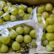 ヒメ日記 2025/09/19 19:45 投稿 かなめ 奥鉄オクテツ大阪