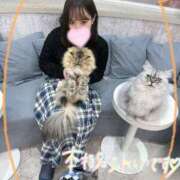 ヒメ日記 2024/12/12 00:57 投稿 おん サンキュー町田・相模原店