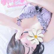 ヒメ日記 2025/04/05 13:14 投稿 おん サンキュー町田・相模原店