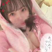 ヒメ日記 2026/02/20 15:39 投稿 おん サンキュー厚木店