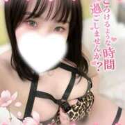 ヒメ日記 2026/04/10 09:49 投稿 おん サンキュー厚木店