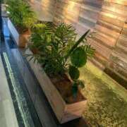 ヒメ日記 2025/06/10 22:33 投稿 しえる 艶熟妻 京都店