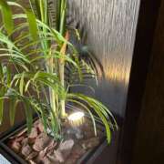 ヒメ日記 2025/07/08 22:53 投稿 しえる 艶熟妻 京都店