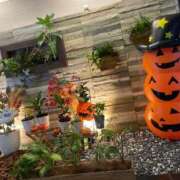 しえる お礼です🎃 艶熟妻 京都店